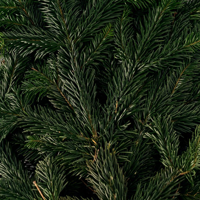 Julgran.com