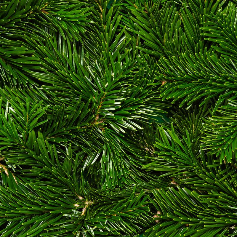 Julgran.com
