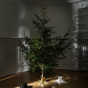 Julgransfot The Root - Bild 10